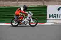 Vintage-motorcycle-club;eventdigitalimages;mallory-park;mallory-park-trackday-photographs;no-limits-trackdays;peter-wileman-photography;trackday-digital-images;trackday-photos;vmcc-festival-1000-bikes-photographs